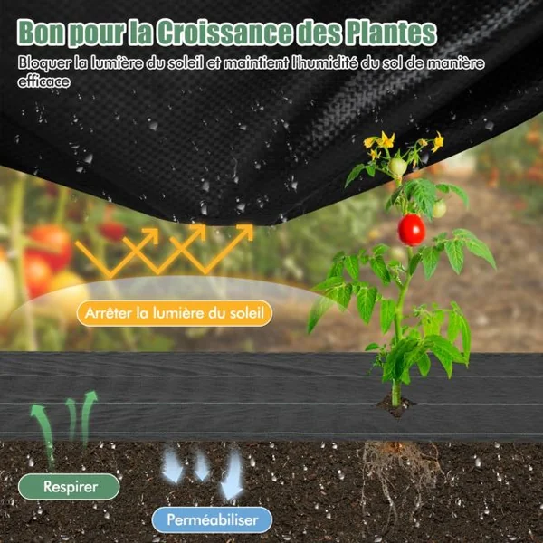 Toile de Paillage Contre les Mauvais Herbes 2Mx25M Tapis en Tissu Anti-mauvaises Herbes de Jardin en PP avec Ligne de Guidage Noir
