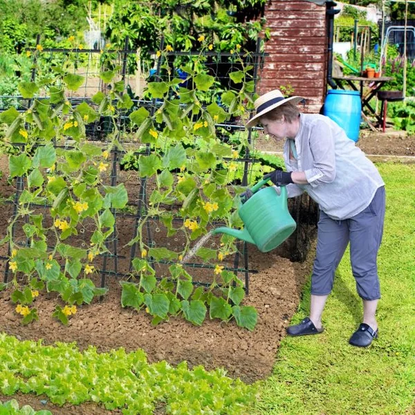 Treillis de Jardin Cadre en Métal en Forme de A Filet de Protection Capuchons Inférieurs Pointus Plantes Grimpantes Noir