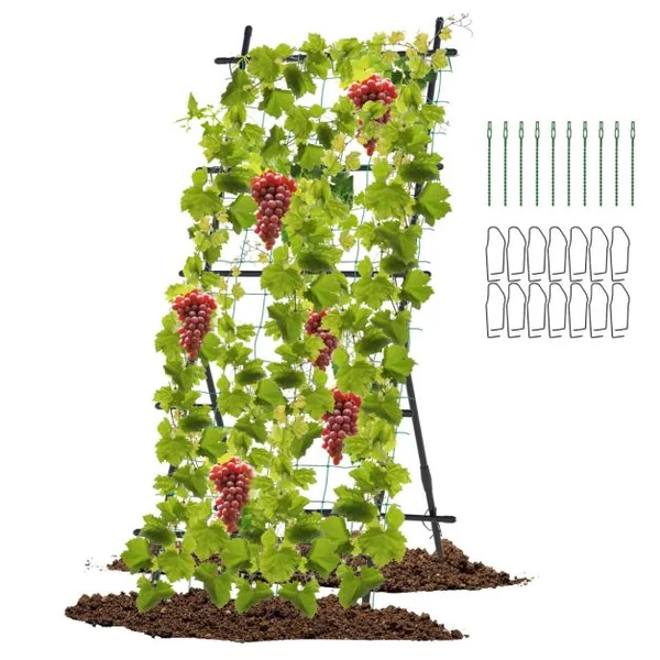 Treillis de Jardin Cadre en Métal en Forme de A Filet de Protection Capuchons Inférieurs Pointus Plantes Grimpantes Noir