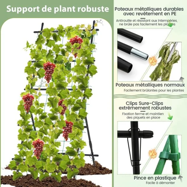 Treillis de Jardin Cadre en Métal en Forme de A Filet de Protection Capuchons Inférieurs Pointus Plantes Grimpantes Noir