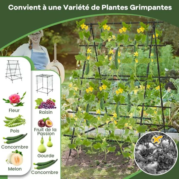 Treillis de Jardin en Métal Forme Réglable Filet de Protection Clips-pince Textures Antidérapantes Plantes Grimpantes Noir