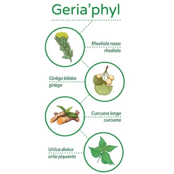VETOPHYLUM GERIA'PHYL 30 Gélules Chat, Chien - Effets du Vieillissement