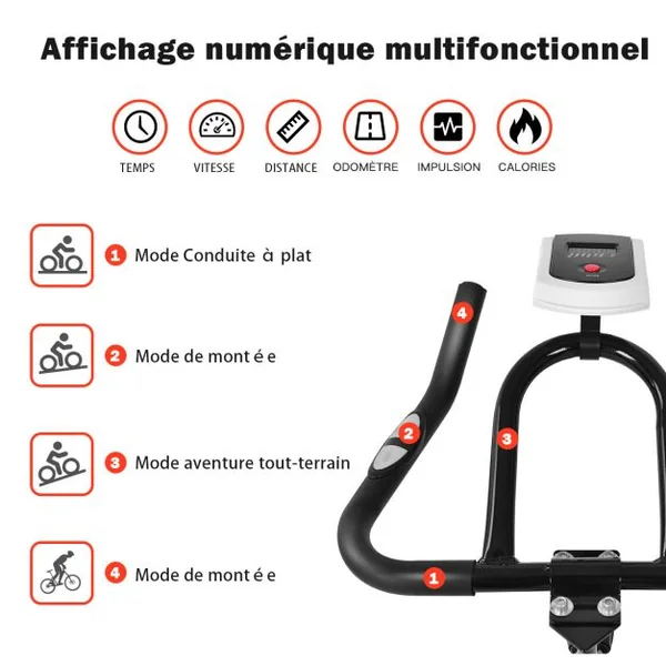 Vélo D’appartement Vélo Silencieux avec Courroie et Roue D’inertie en Fer de 10kg Guidon et Selle Ajustable Noir + Rouge
