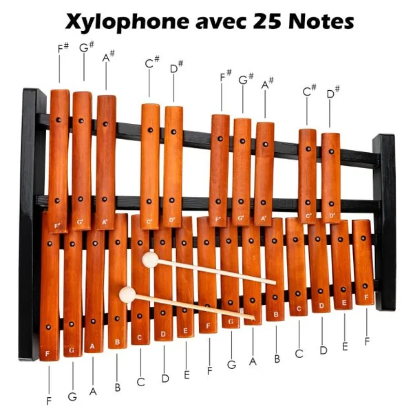 Xylophone 25 Notes Glockenspiel Éducatif en Bois avec 2 Maillets et Sac de Transport pour Enfants/Adulte Marron et Noir