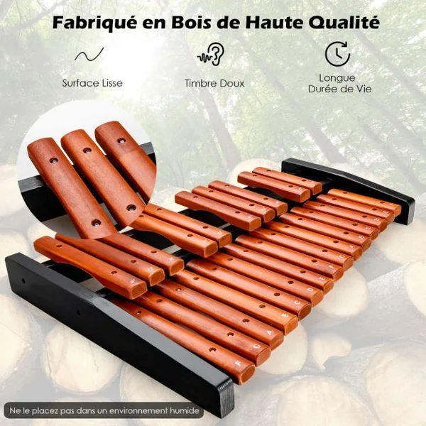 Xylophone 25 Notes Glockenspiel Éducatif en Bois avec 2 Maillets et Sac de Transport pour Enfants/Adulte Marron et Noir
