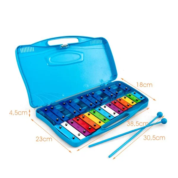 Xylophone pour Enfants 25 Notes avec 2 Baguettes en Plastique 12 Partitions de l'Alphabet Boîtier Portable Bleu pour Apprentissage Scolaire