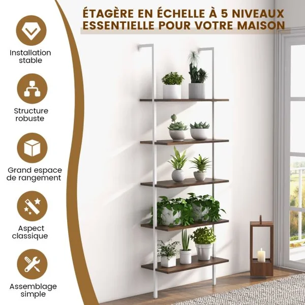 Étagère Murale/Échelle à 5 Niveaux 60x30x180CM Bibliothèque Élégante avec Patins Antidérapants et Structure en Acier Doré Marron