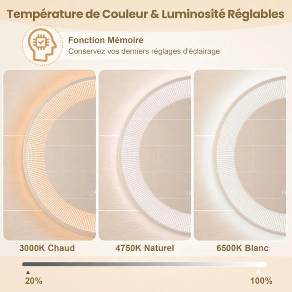 Ø 60 cm Miroir de Salle de Bain avec Motif LED Antibuée 3 Couleurs Fonction Mémoire Affichage Temps Température IP44 Argent