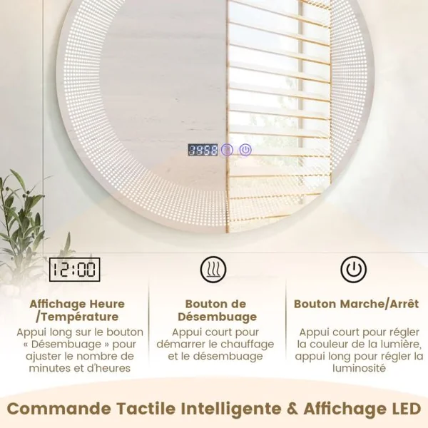 Ø 60 cm Miroir de Salle de Bain avec Motif LED Antibuée 3 Couleurs Fonction Mémoire Affichage Temps Température IP44 Argent